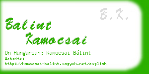 balint kamocsai business card